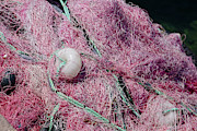 Multi-colored nylon fishing nets and floats #4 Photograph by Steve Estvanik