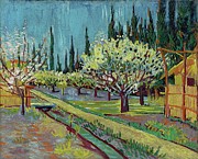 Orchard Bordered By Cypresses Painting by Vincent Van Gogh Orchard Bordered By Cypresses Painting by Vincent Van Gogh