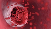 Red Blood Cells Flowing Through An Artery #4 Photograph by Science Photo Library