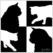 4 Silhouettes Photograph by Sandra Dalton 4 Silhouettes Photograph by Sandra Dalton