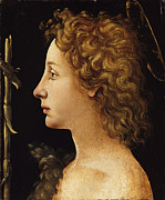 The Young Saint John The Baptist Painting by Piero Di Cosimo