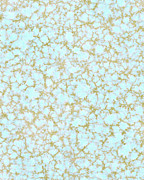 Pattern #457 Drawing by CSA Images Pattern #457 Drawing by CSA Images