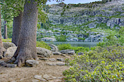 Angora Lakes California #5 Photograph by Anthony Giammarino Angora Lakes California #5 Photograph by Anthony Giammarino