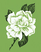 Flower #5 Drawing by CSA Images Flower #5 Drawing by CSA Images