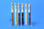 Food Samples In Test Tubes #5 Photograph by Science Photo Library