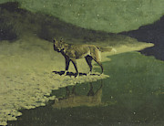 Moonlight, Wolf Painting by Frederic Remington