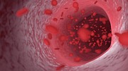 Red Blood Cells Flowing Through An Artery #5 Photograph by Science Photo Library