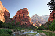 Zion National Park #5 Photograph by Michele Falzone