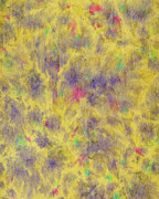 Pattern #525 Drawing by CSA Images