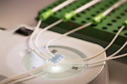 Lab On A Chip #6 Photograph by Science Photo Library