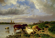 Landscape with Cattle Painting by Anton Mauve