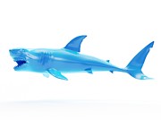 Shark #6 Photograph by Science Photo Library