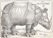 The Rhinoceros Painting by Albrecht Durer