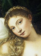Venus Of Urbino Painting by Titian