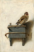 The Goldfinch #2 Painting by Carel Fabritius The Goldfinch #2 Painting by Carel Fabritius
