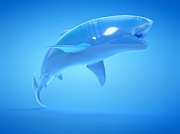 Shark #9 Photograph by Science Photo Library