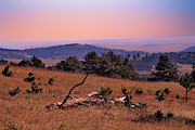 Autumn Day at Custer State Park South Dakota Photograph by Gerlinde Keating