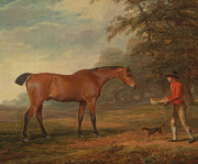 A Bay Horse Approached By A Stable-lad Drawing by Artokoloro