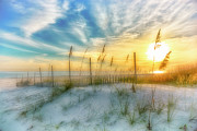 A Beach Dream Photograph by Ken Johnson
