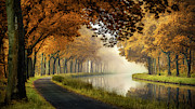 A Calm Morning Photograph by Sus Bogaerts