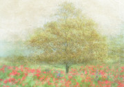 A Dream Of Summer Photograph by Katarina Holmstrm