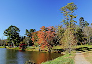 A Fall Walk To Relax Photograph by Allen Nice-Webb A Fall Walk To Relax Photograph by Allen Nice-Webb