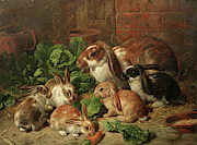 A Family of Rabbits Painting by Alfred Richardson Barber A Family of Rabbits Painting by Alfred Richardson Barber