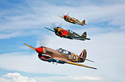 A Group Of P-40 Warhawks Fly In Photograph by Scott Germain/stocktrek Images