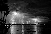 A Magical Night B and W Photograph by Quinn Sedam