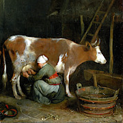 A Maid Milking a Cow in a Barn Painting by Audrey Jeanne Roberts