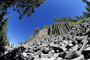 A Nearly Sunken Treasure -- Basalt Formation at Devils Postpile National Monument, California Photograph by Darin Volpe A Nearly Sunken Treasure -- Basalt Formation at Devils Postpile National Monument, California Photograph by Darin Volpe