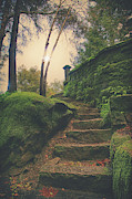 A New Story Begins Photograph by Laurie Search