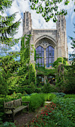 A Place to Study Photograph by Liz Albro