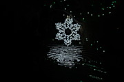 A Ripple of Christmas Cheer Photograph by Colleen Cornelius
