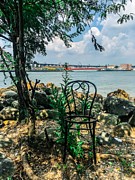 Abandoned Chair Photograph by Cate Franklyn