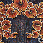 Abstract Fungus 1 Painting by Amy E Fraser