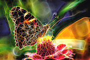 Abstract Painted Lady Butterfly Photograph by Don Northup