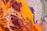 Abstract Painting. Orange Flower Photograph by Dmytro Synelnychenko