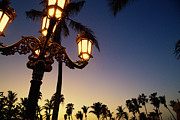 Aglow Photograph by Becqi Sherman