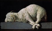 Agnus Dei - ca.1635-40 - oil on canvas - 37,3 x 62 cm - Spanish Baroque - NP 7293. Painting by Francisco de Zurbaran -c 1598-1664- Agnus Dei - ca.1635-40 - oil on canvas - 37,3 x 62 cm - Spanish Baroque - NP 7293. Painting by Francisco de Zurbaran -c 1598-1664-