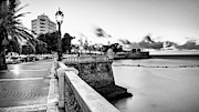 Alameda Apodaca Promenade Cadiz Spain Black and White Photograph by Sapiens Verbum