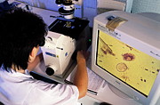 Algae Research Photograph by Science Photo Library