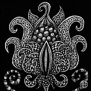 Alien Bloom 8 Black and White Drawing by Amy E Fraser