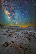 Alien Bonus Photograph by Ralf Rohner