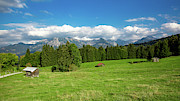 Allgaeu Photograph by Andreas Levi Allgaeu Photograph by Andreas Levi