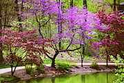 Along the Restful Path Photograph by Allen Nice-Webb Along the Restful Path Photograph by Allen Nice-Webb
