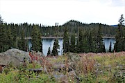 Alpine Lake Atop Grand Mesa Photograph by Tammie J Jordan
