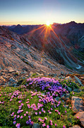Alpine Sunrise With Flowers In The Photograph by Wingmar