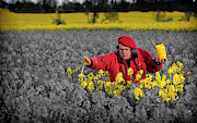 An Artist's Work Is Never Done Photograph by Alan Mahon