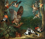 An Owl And Other Birds Painting by Philipp Ferdinand De Hamilton
